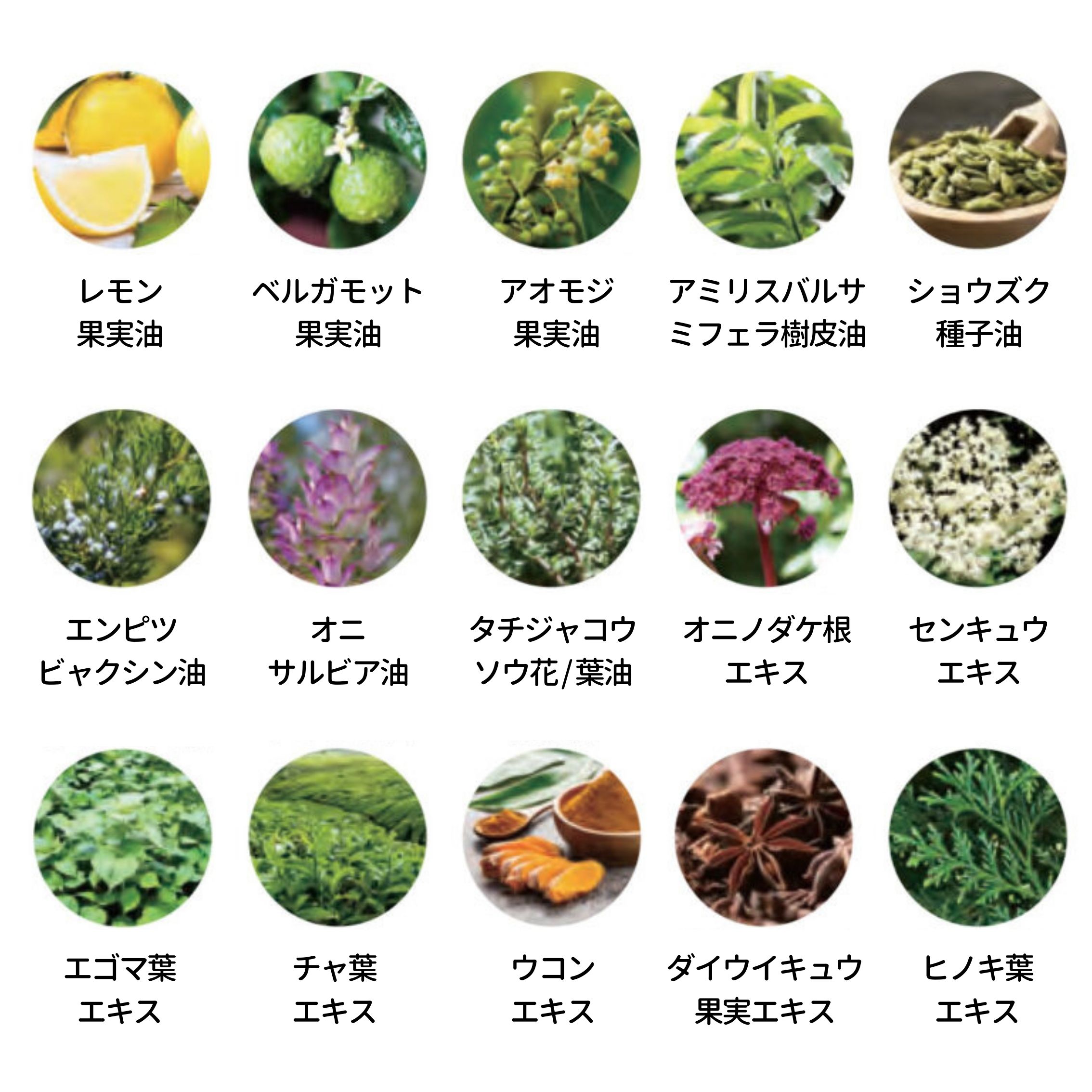 フェムウォッシュ（Fem Wash）